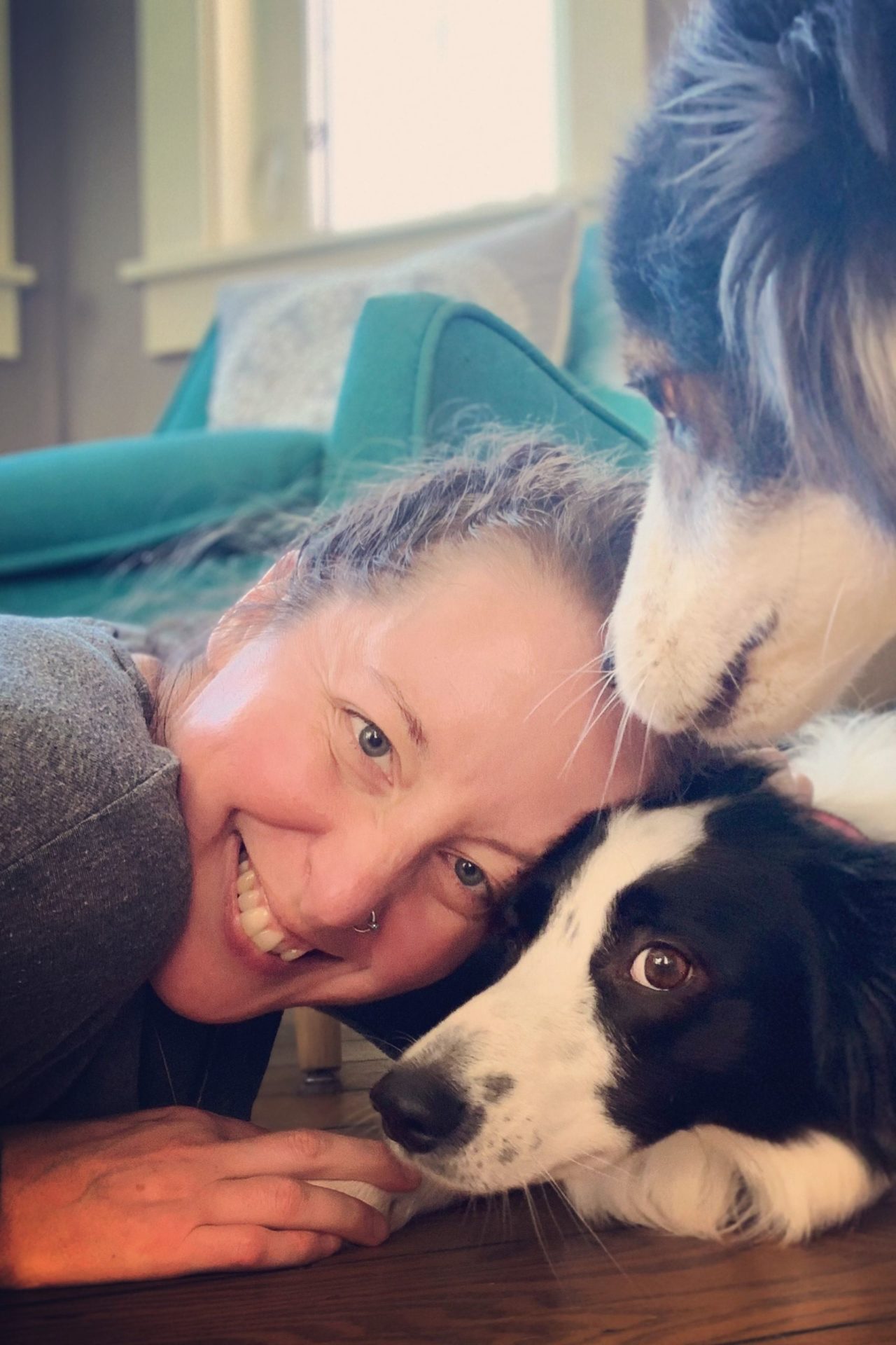 Vet In Drayton Valley, Alberta Rocky Rapids Vet Service