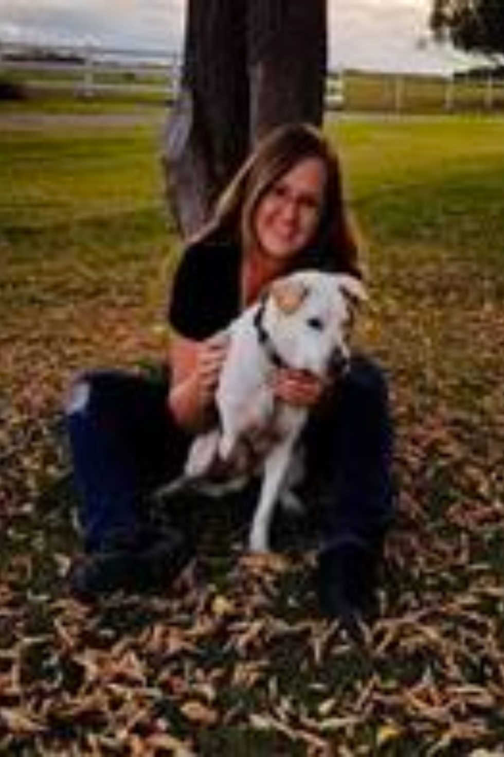 Vet In Drayton Valley, Alberta Rocky Rapids Vet Service